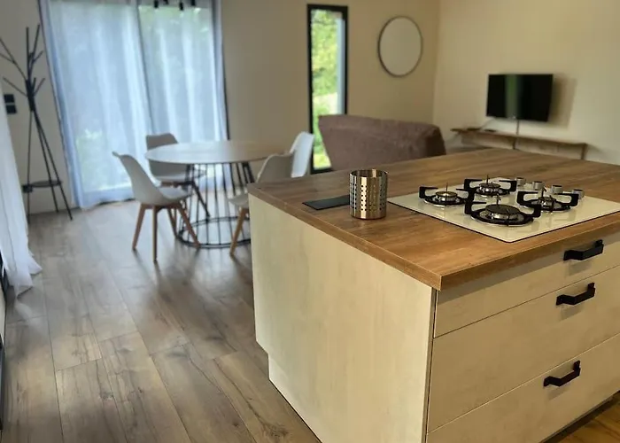 Maison En Bois A Entrechaux